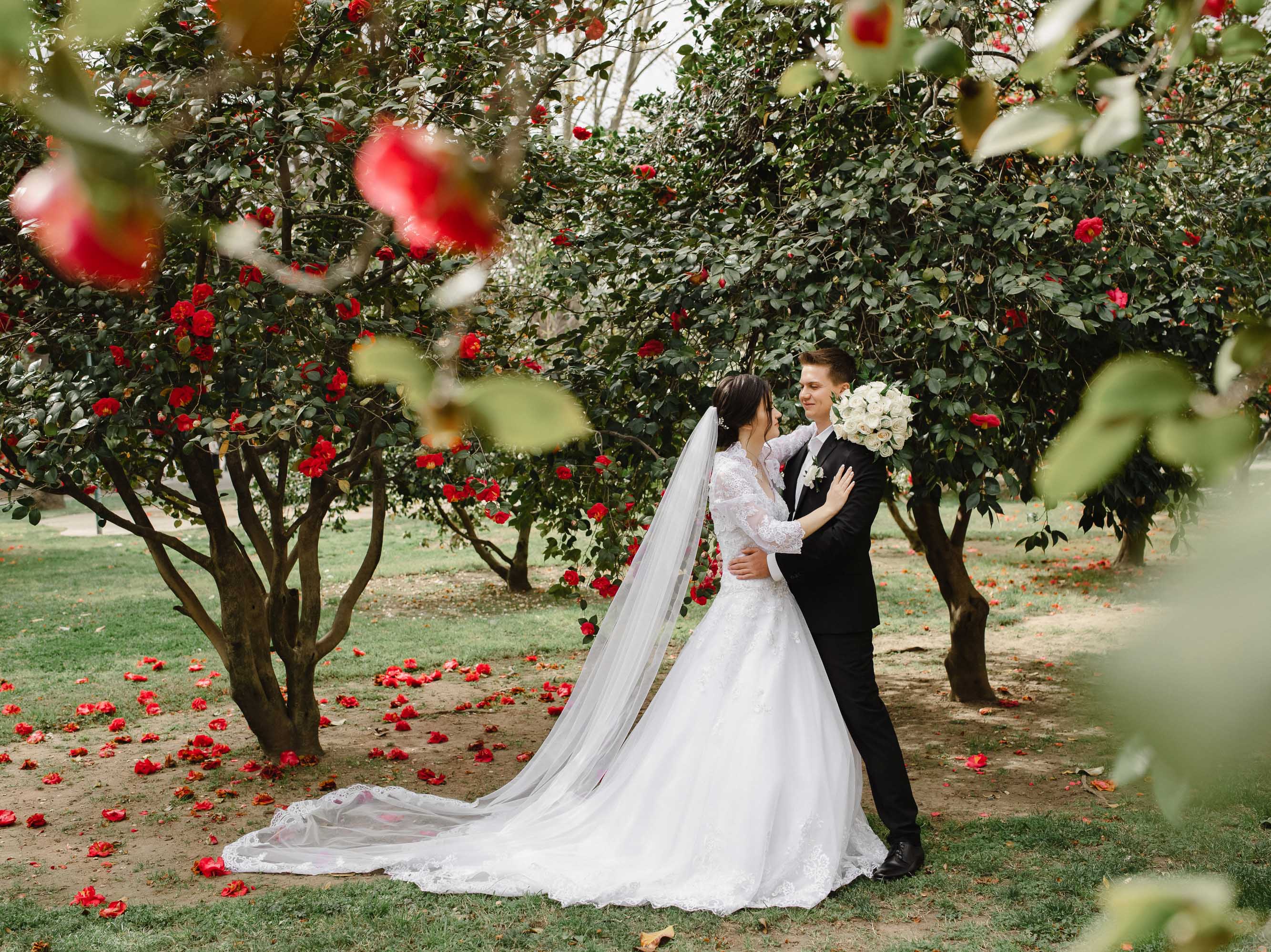 A bride and groom standing in an orchard with red roses.